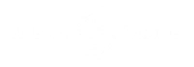 Blue Wave Contracting